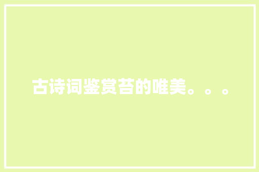 古诗词鉴赏苔的唯美。。。