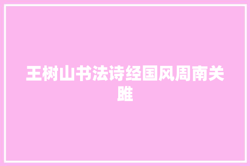 王树山书法诗经国风周南关雎