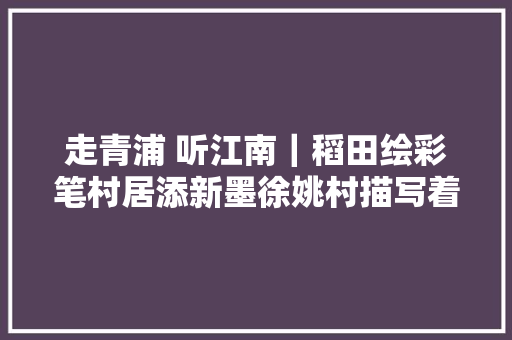 走青浦 听江南｜稻田绘彩笔村居添新墨徐姚村描写着一幅明媚灵秀的山水长卷