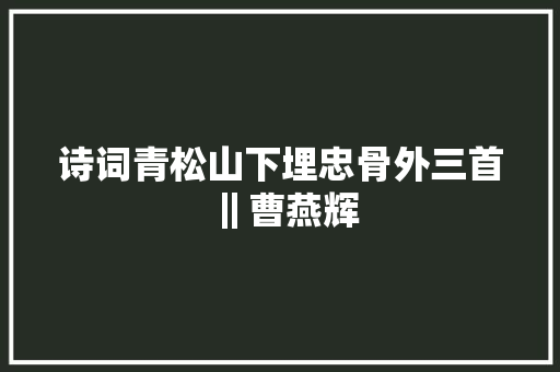 诗词青松山下埋忠骨外三首‖曹燕辉