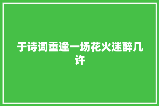 于诗词重逢一场花火迷醉几许