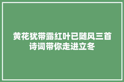 黄花犹带露红叶已随风三首诗词带你走进立冬