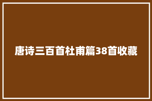 唐诗三百首杜甫篇38首收藏