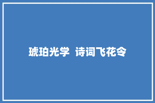 琥珀光学  诗词飞花令