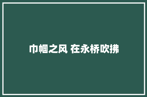 巾帼之风 在永桥吹拂