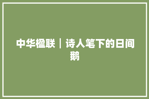 中华楹联┃诗人笔下的日间鹅