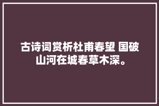 古诗词赏析杜甫春望 国破山河在城春草木深。