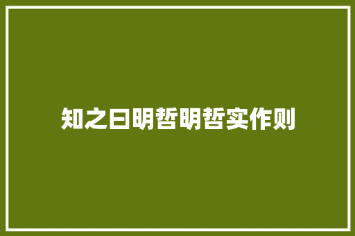 知之曰明哲明哲实作则