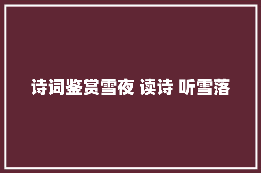 诗词鉴赏雪夜 读诗 听雪落