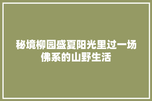秘境柳园盛夏阳光里过一场佛系的山野生活