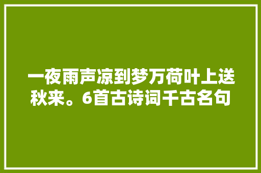 一夜雨声凉到梦万荷叶上送秋来。6首古诗词千古名句动人心弦