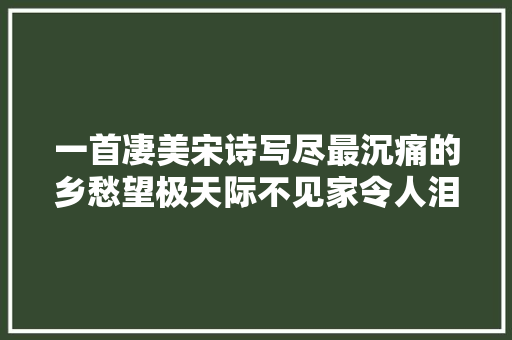 一首凄美宋诗写尽最沉痛的乡愁望极天际不见家令人泪目