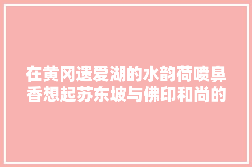在黄冈遗爱湖的水韵荷喷鼻香想起苏东坡与佛印和尚的斗嘴吵架