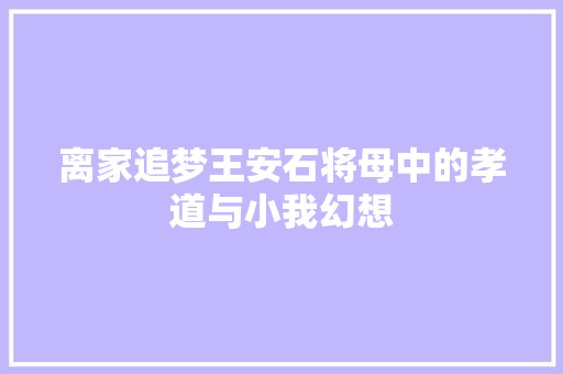 离家追梦王安石将母中的孝道与小我幻想