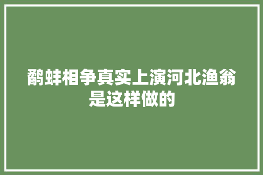 鹬蚌相争真实上演河北渔翁是这样做的