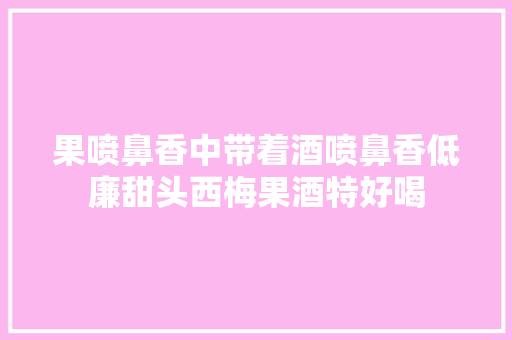 果喷鼻香中带着酒喷鼻香低廉甜头西梅果酒特好喝