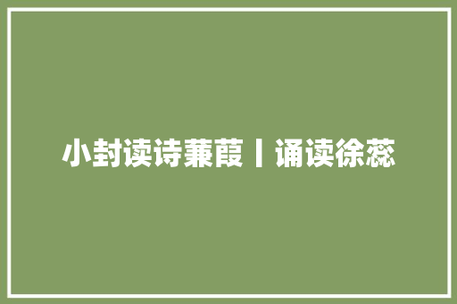 小封读诗蒹葭丨诵读徐蕊