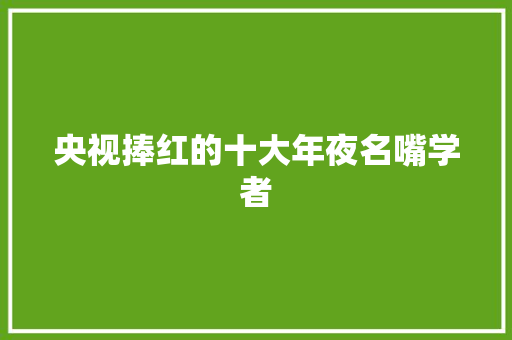 央视捧红的十大年夜名嘴学者
