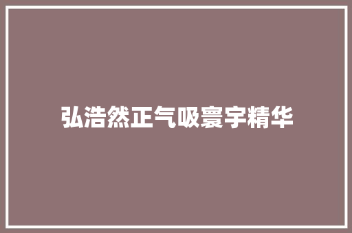 弘浩然正气吸寰宇精华