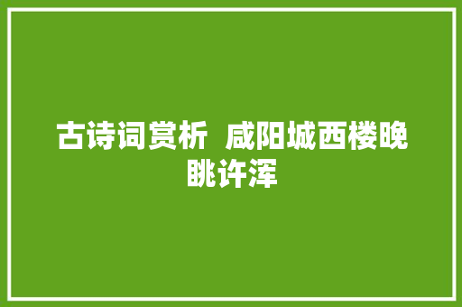 古诗词赏析  咸阳城西楼晚眺许浑