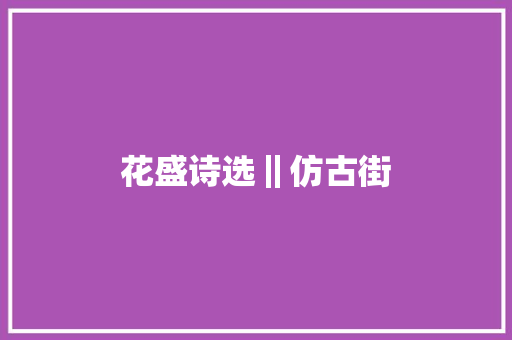 花盛诗选‖仿古街