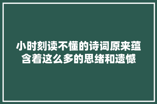 小时刻读不懂的诗词原来蕴含着这么多的思绪和遗憾