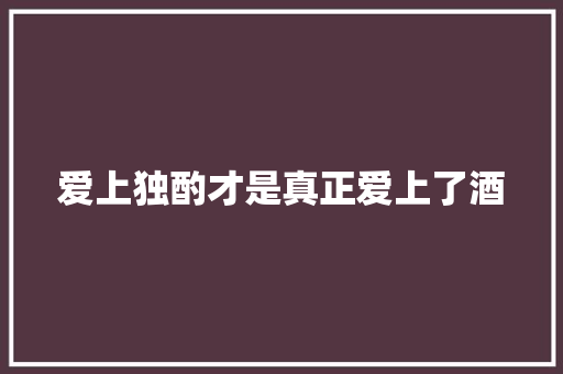 爱上独酌才是真正爱上了酒