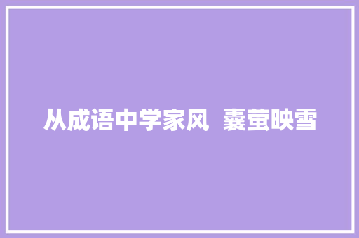 从成语中学家风  囊萤映雪