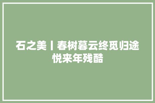 石之美丨春树暮云终觅归途悦来年残酷