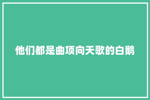 他们都是曲项向天歌的白鹅