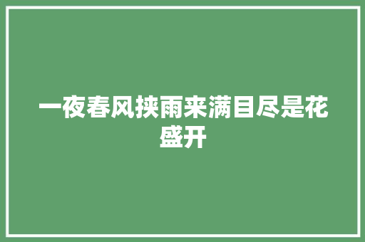 一夜春风挟雨来满目尽是花盛开