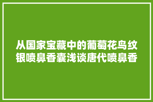 从国家宝藏中的葡萄花鸟纹银喷鼻香囊浅谈唐代喷鼻香囊文化