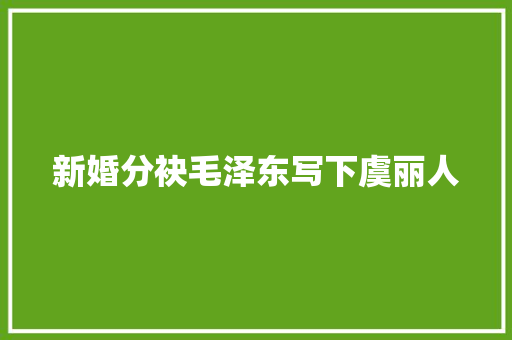 新婚分袂毛泽东写下虞丽人