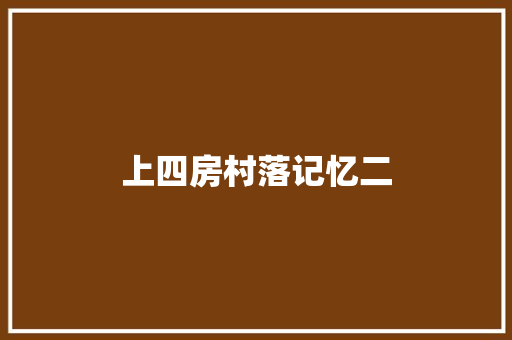 上四房村落记忆二