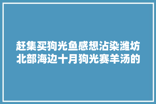 赶集买狗光鱼感想沾染潍坊北部海边十月狗光赛羊汤的厚味