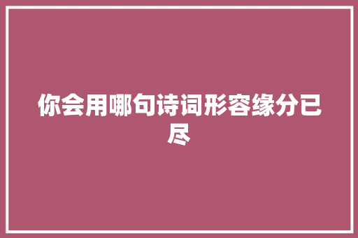 你会用哪句诗词形容缘分已尽