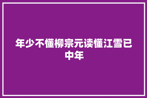 年少不懂柳宗元读懂江雪已中年