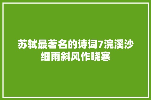 苏轼最著名的诗词7浣溪沙细雨斜风作晓寒