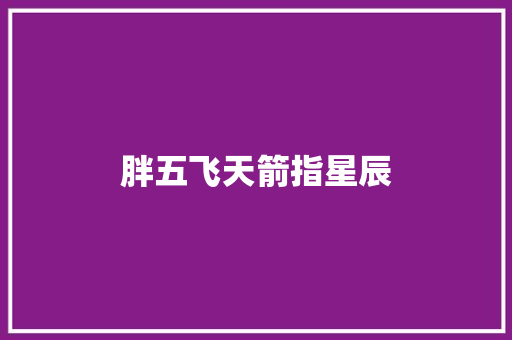胖五飞天箭指星辰