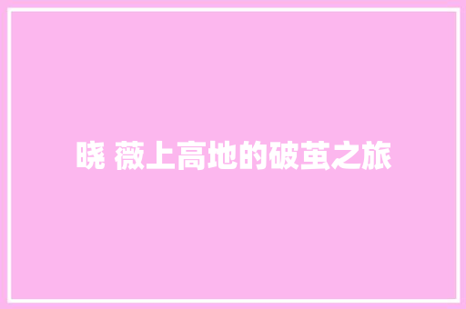 晓 薇上高地的破茧之旅