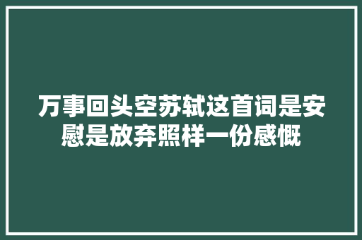 万事回头空苏轼这首词是安慰是放弃照样一份感慨