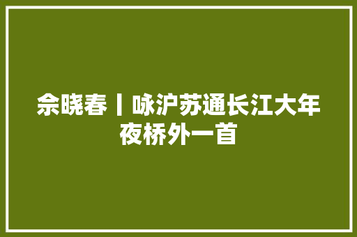 佘晓春丨咏沪苏通长江大年夜桥外一首
