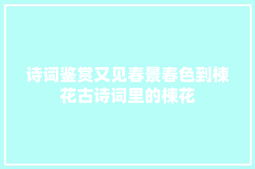 诗词鉴赏又见春景春色到楝花古诗词里的楝花