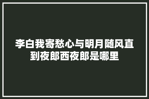 李白我寄愁心与明月随风直到夜郎西夜郎是哪里