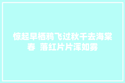 惊起早栖鸦飞过秋千去海棠春  落红片片浑如雾
