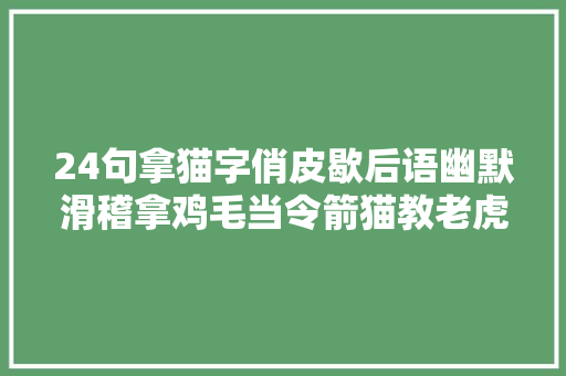 24句拿猫字俏皮歇后语幽默滑稽拿鸡毛当令箭猫教老虎