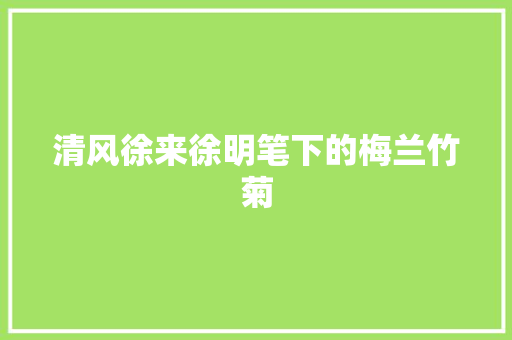 清风徐来徐明笔下的梅兰竹菊