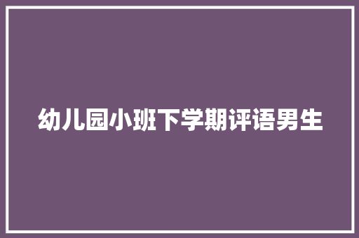 幼儿园小班下学期评语男生