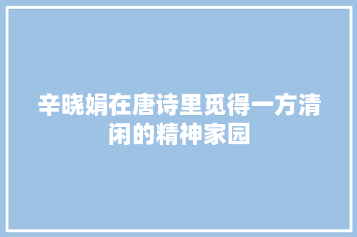 辛晓娟在唐诗里觅得一方清闲的精神家园