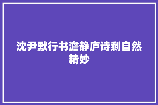 沈尹默行书澹静庐诗剩自然精妙